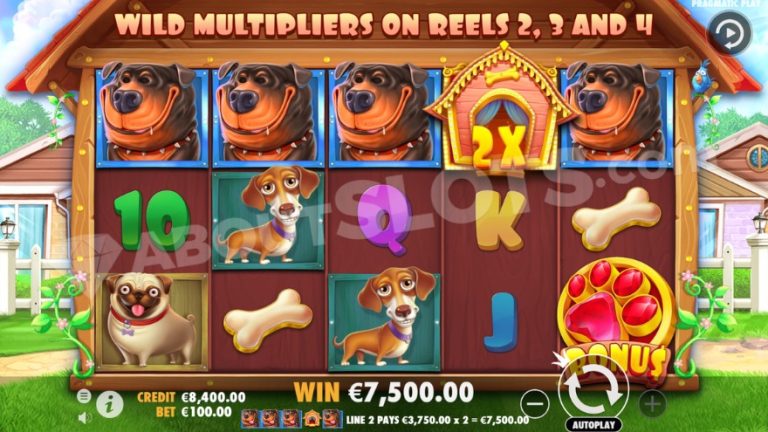 Slot Bonus Features Explained Guide 2026